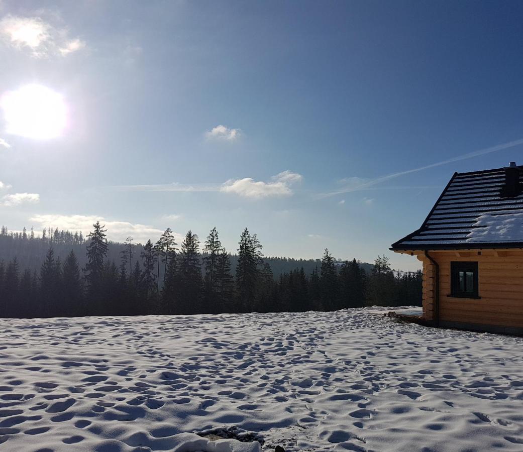 Koniakowo - Dom Pinto Villa Exteriör bild